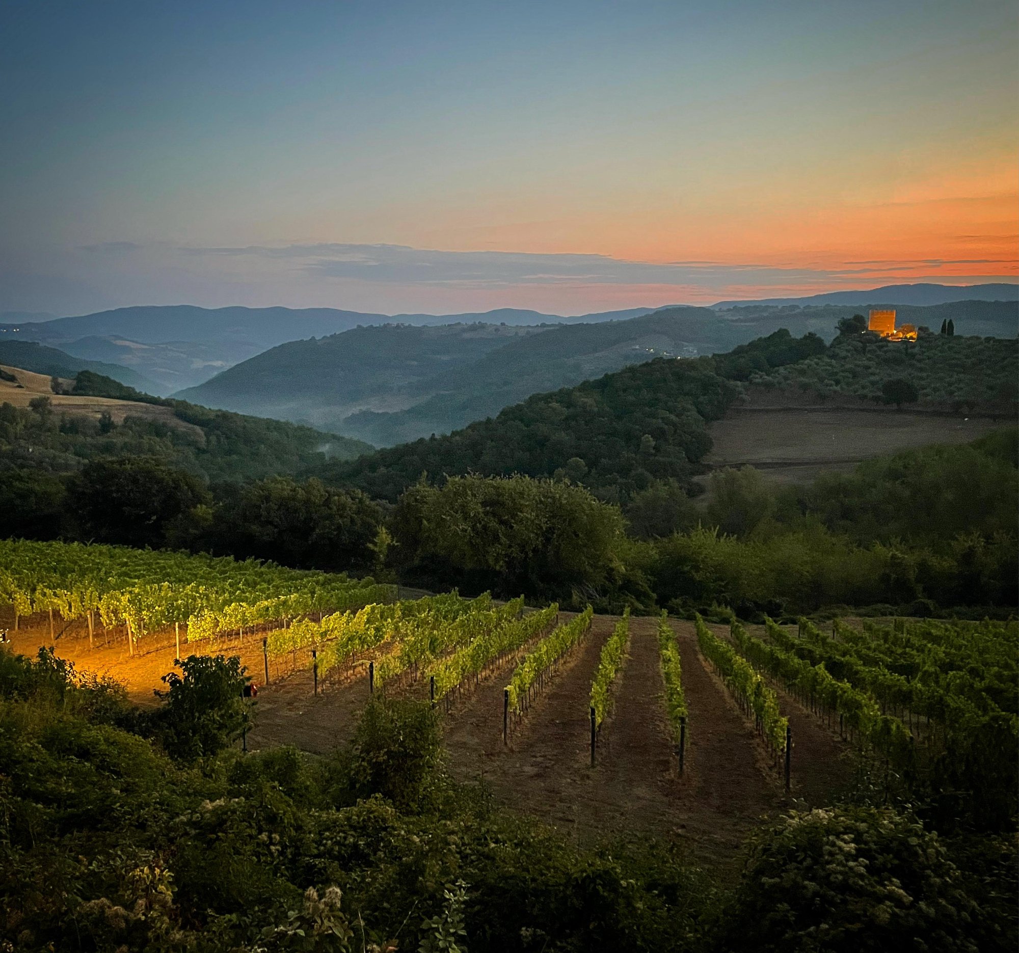 Esperienze in cantina